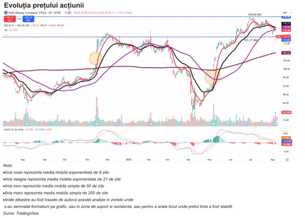TradeVille: Disney se bazează pe streaming şi parcuri tematice